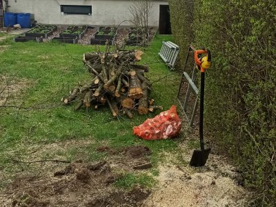 Wycinka drzewa - uprzątnięcie ogrodu - DUK Kaszuby