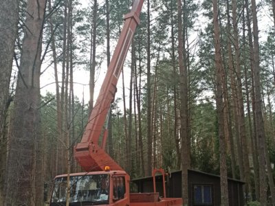 Podnośnik koszowy - wycinka przy posesji - DUK Kaszuby